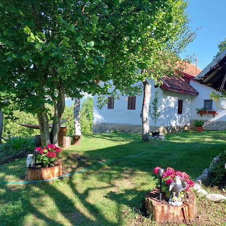 Etno Guest House Lalovic Tjentiste Exterior photo