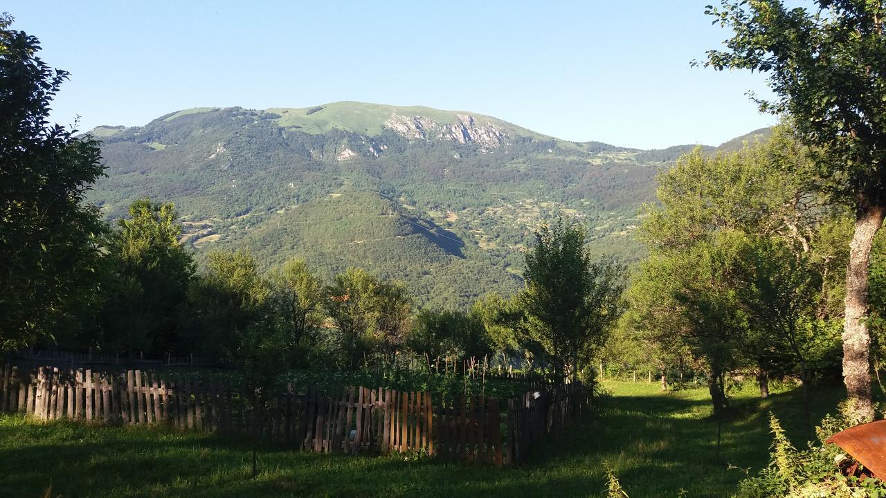 Etno Guest House Lalovic Tjentiste Exterior photo