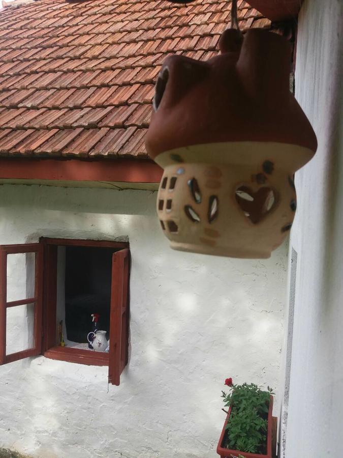 Etno Guest House Lalovic Tjentiste Exterior photo